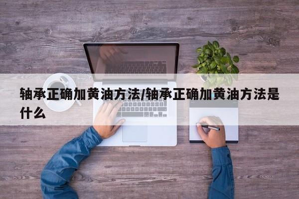 轴承正确加黄油方法/轴承正确加黄油方法是什么