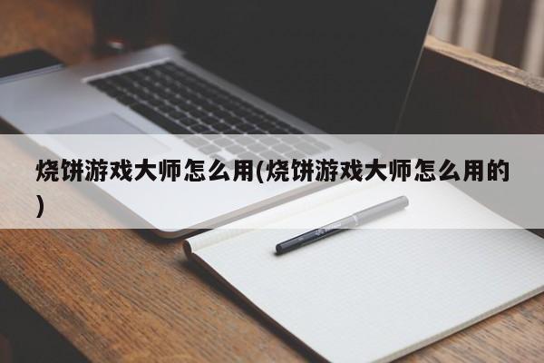 烧饼游戏大师怎么用(烧饼游戏大师怎么用的)