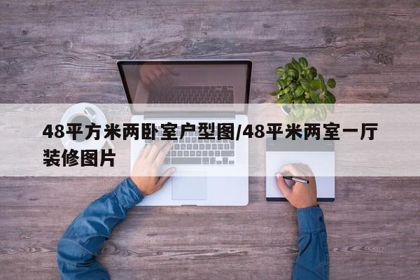 48平方米两卧室户型图/48平米两室一厅装修图片