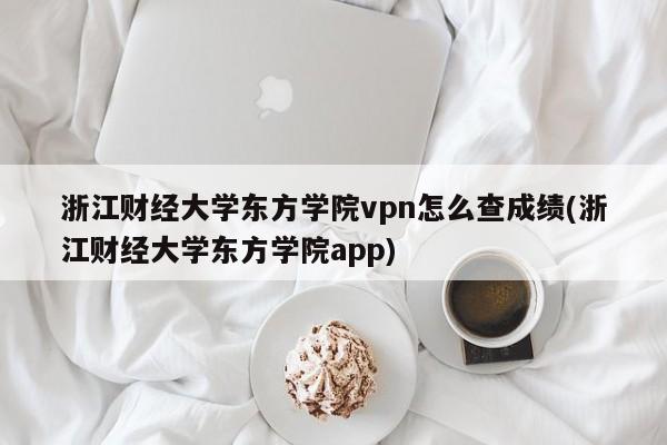 浙江财经大学东方学院vpn怎么查成绩(浙江财经大学东方学院app)